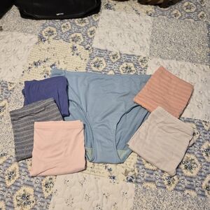 Hanes Women's Panties in Blue, Pink, and Gray